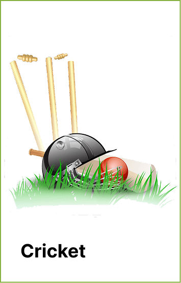 Cricket